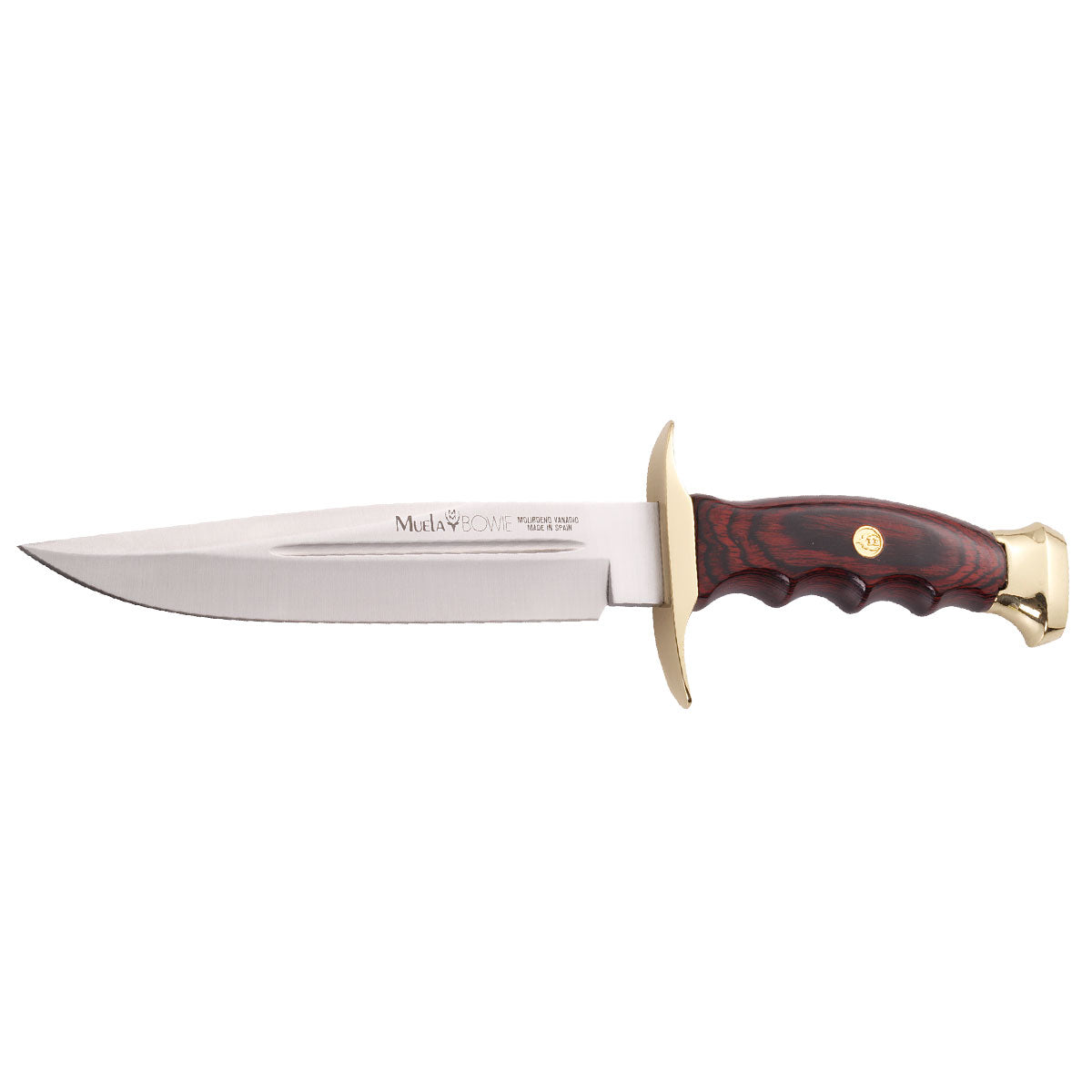 Bowie 18 / Coral Wood Handle