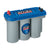 BLUE TOP BATTERY GROUP 31 MARINE/DEEP CYCLE 12 VOLTS 75 AH