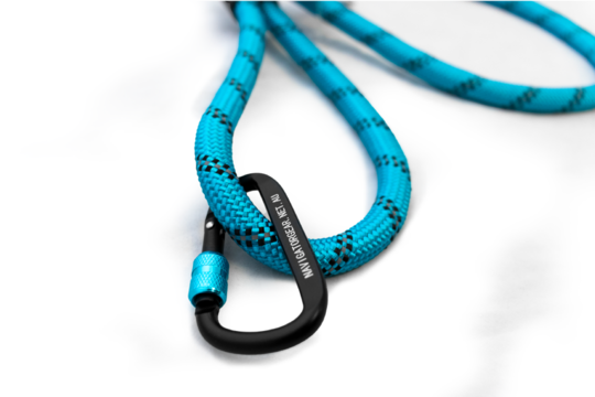 DOG LEASH BUDDY
